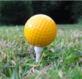Dublin Golf.com - Dublin Golf Courses